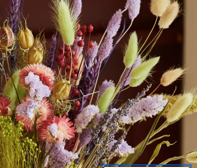 Plants/Flowers
